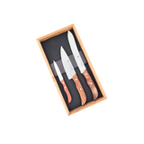 LATINUS Kitchen Knife Set - 3 pieces