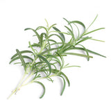 Rosemary Lingots® - Aromatic Herbs