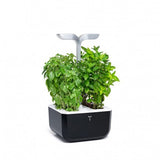 Horta Urbana EXKY - Smart Edition Ready