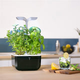 Horta Urbana EXKY - Smart Edition Ready