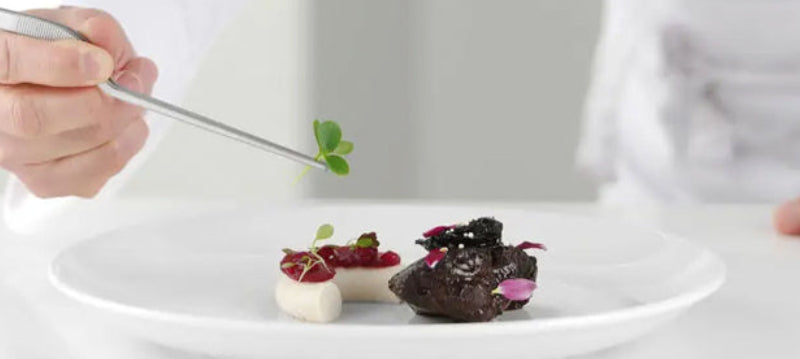 Stainless Steel Tilting Grill/Kitchen Tongs, 22cm