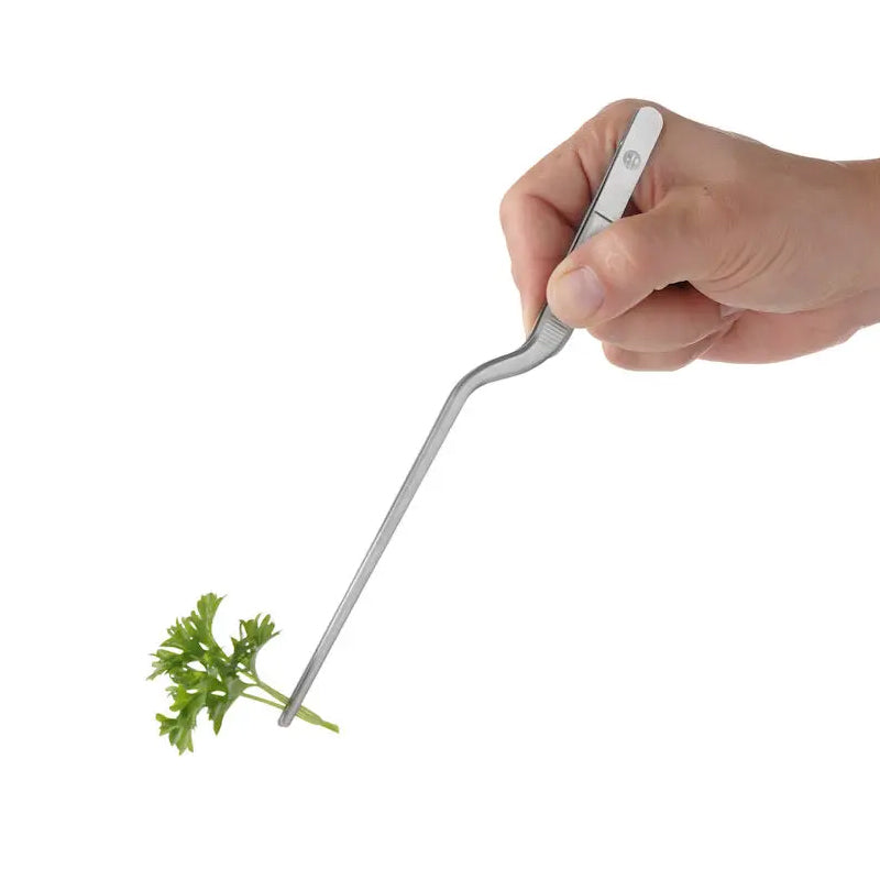 Stainless Steel Tilting Grill/Kitchen Tongs, 22cm