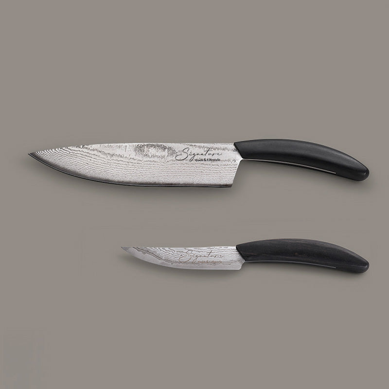 Conjunto de facas chef e mulltiusos para cozinha - Damascus 67