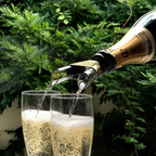 Decantador de Vinho - Bico Duplo