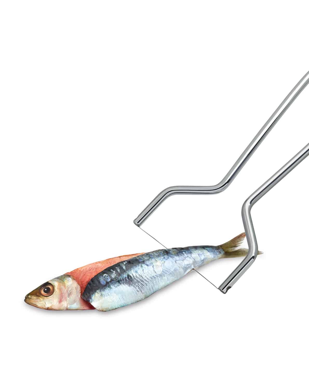 Triangle Sardine Fillet Slicer