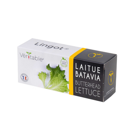 Organic Lettuce Lingots® - Vegetables