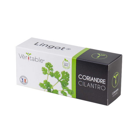 Organic Coriander Lingots® - Hierbas Aromáticas