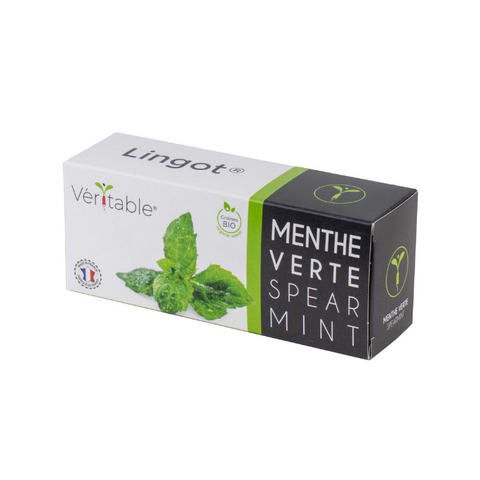 Lingots® Organic Mint - Aromatic Herbs