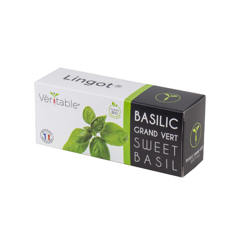 Organic Basil Lingots® - Aromatic Herbs
