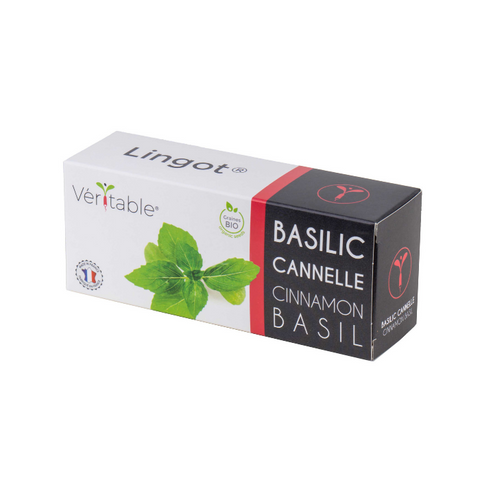 Organic Cinnamon Basil Lingots® - Aromatic Herbs