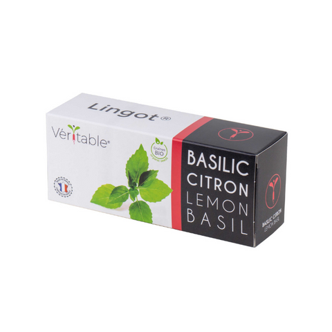 Lingots® Organic Lemon Basil - Hierbas aromáticas