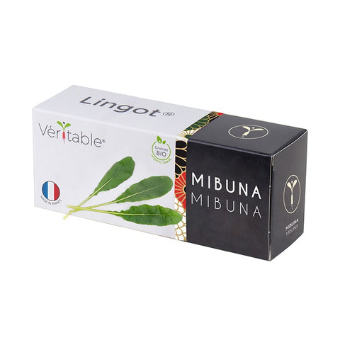 Mostarda Japonesa Mibuna Lingots® - Aromas Asiáticos