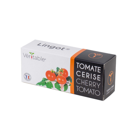 Tomate Cherry Lingots® - Mini Verduras