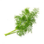 Lingots® Organic Fennel - Aromatic Herbs