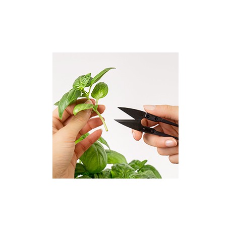 MINI TESOURA VÉRITABLE® - Acessórios