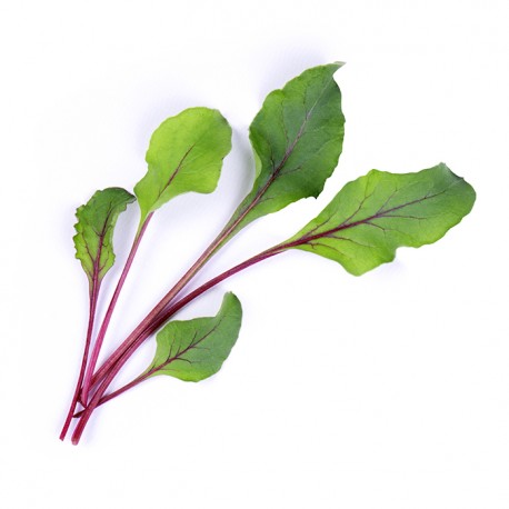 BETERRABA ORGÂNICA LINGOTS® - Vegetais