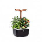 Horta Urbana EXKY - Smart Cooper Edition