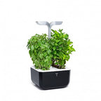 Horta Urbana EXKY - Smart Edition Preta