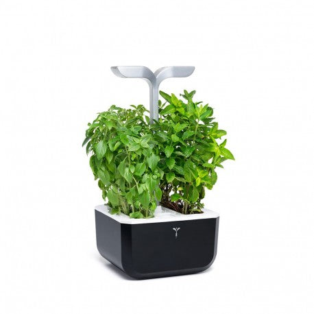 Horta Urbana EXKY - Smart Edition Preta